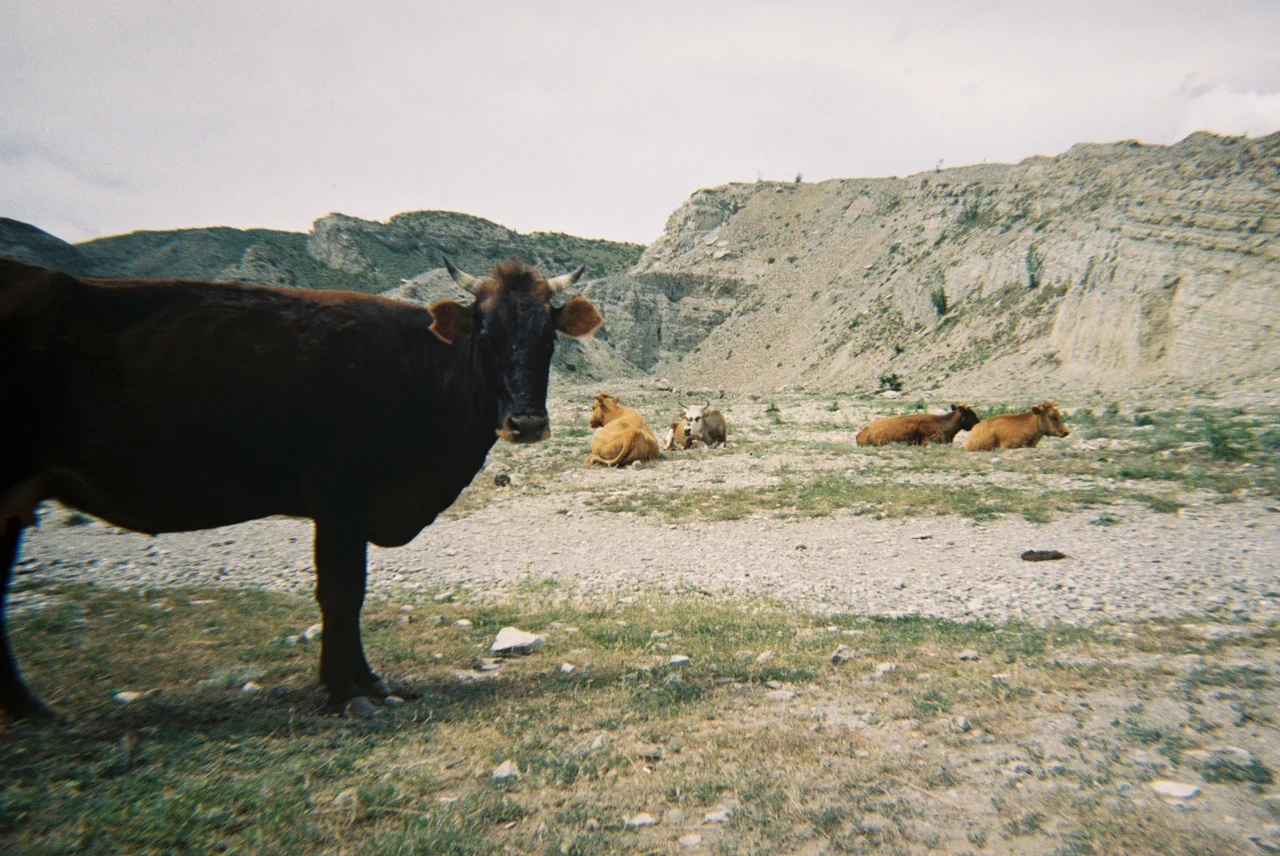 Плёночная фотография, кадр 21