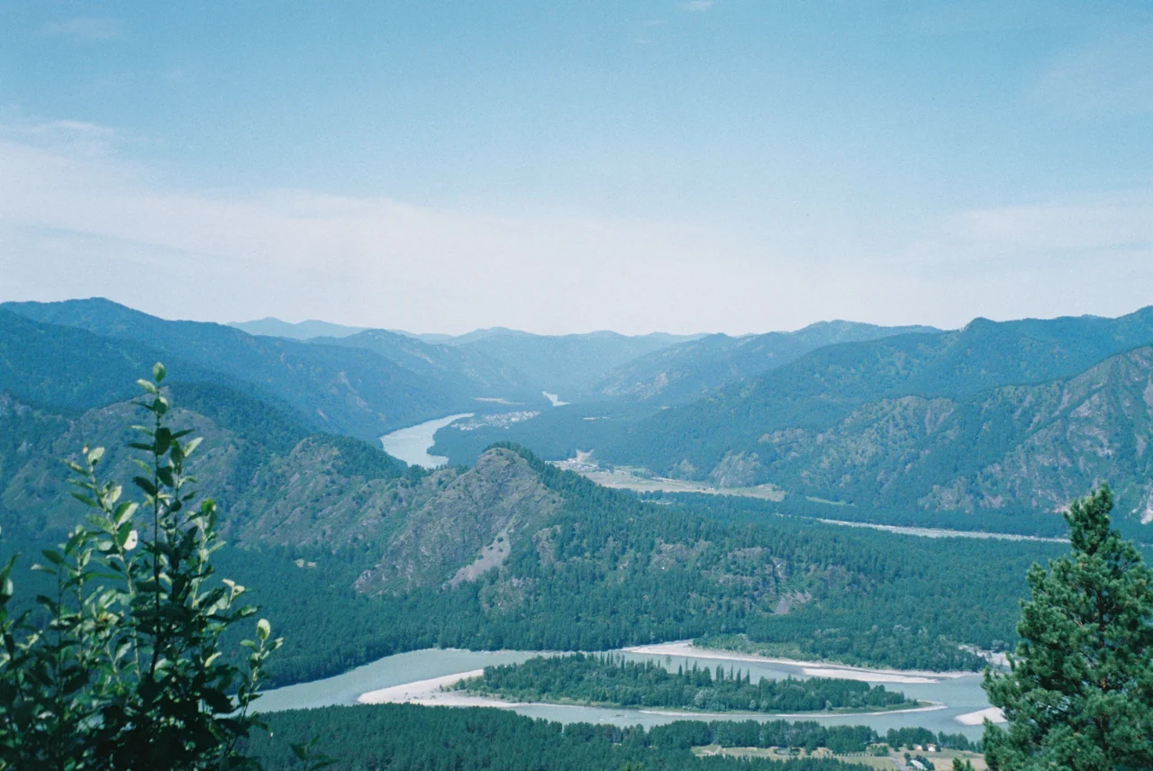 Плёночная фотография, кадр 37